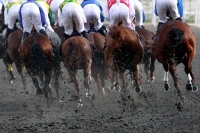 Horse race